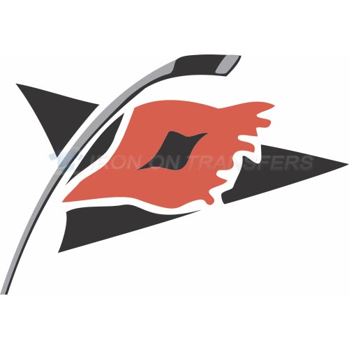 Carolina Hurricanes Iron-on Stickers (Heat Transfers)NO.109